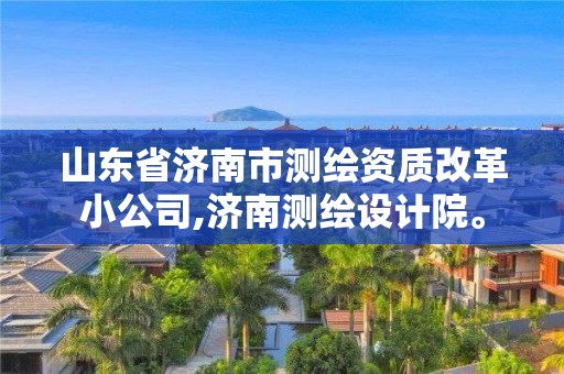 山东省济南市测绘资质改革小公司,济南测绘设计院。