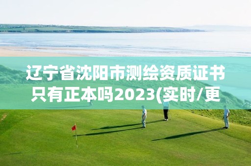 辽宁省沈阳市测绘资质证书只有正本吗2023(实时/更新中)