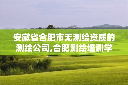 安徽省合肥市无测绘资质的测绘公司,合肥测绘培训学校。