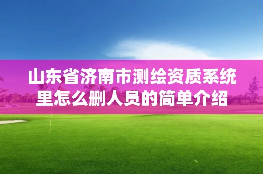 山东省济南市测绘资质系统里怎么删人员的简单介绍