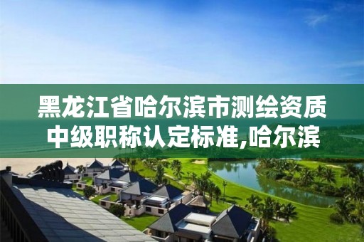 黑龙江省哈尔滨市测绘资质中级职称认定标准,哈尔滨测绘局招聘信息。