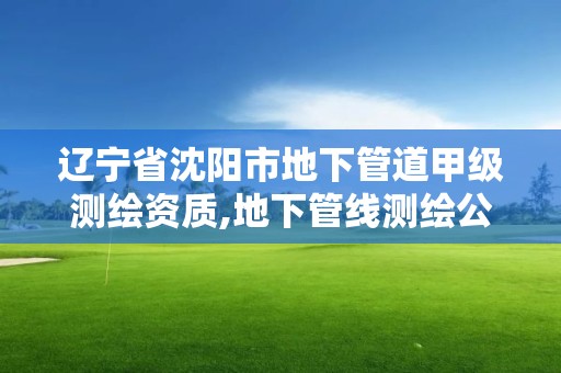 辽宁省沈阳市地下管道甲级测绘资质,地下管线测绘公司。