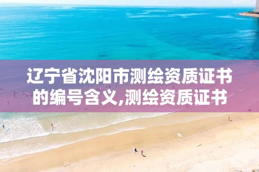 辽宁省沈阳市测绘资质证书的编号含义,测绘资质证书编号形式。