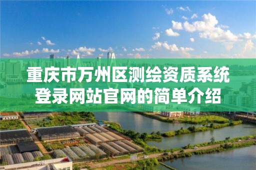 重庆市万州区测绘资质系统登录网站官网的简单介绍