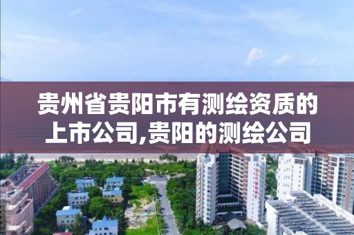 贵州省贵阳市有测绘资质的上市公司,贵阳的测绘公司有哪些。