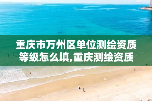 重庆市万州区单位测绘资质等级怎么填,重庆测绘资质乙级申报条件。