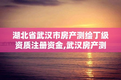 湖北省武汉市房产测绘丁级资质注册资金,武汉房产测绘中心有编制吗。