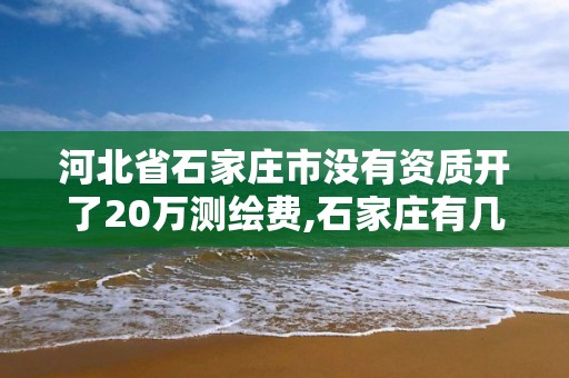 河北省石家庄市没有资质开了20万测绘费,石家庄有几个测绘局。