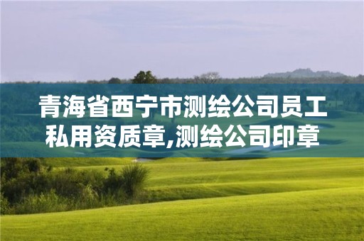 青海省西宁市测绘公司员工私用资质章,测绘公司印章。