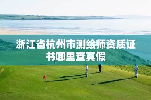 浙江省杭州市测绘师资质证书哪里查真假