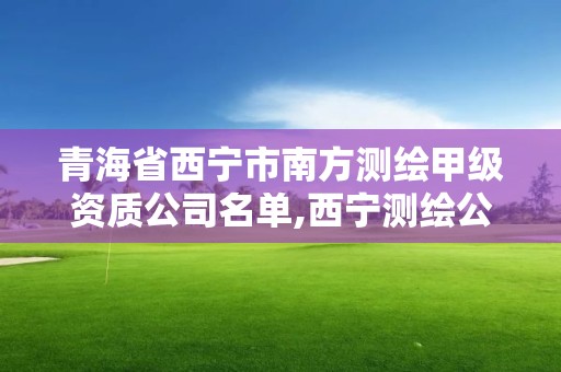 青海省西宁市南方测绘甲级资质公司名单,西宁测绘公司有哪些。