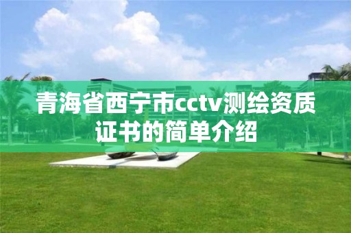 青海省西宁市cctv测绘资质证书的简单介绍