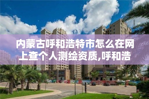 内蒙古呼和浩特市怎么在网上查个人测绘资质,呼和浩特市测绘院。