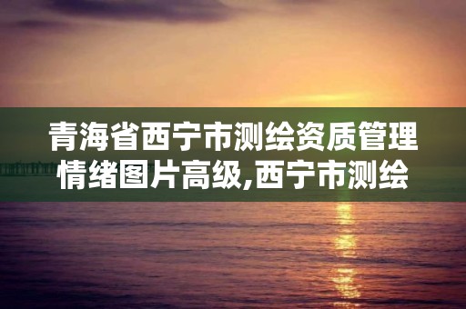 青海省西宁市测绘资质管理情绪图片高级,西宁市测绘局2020招聘。