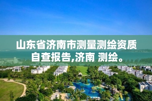 山东省济南市测量测绘资质自查报告,济南 测绘。