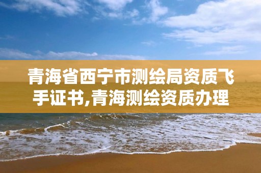 青海省西宁市测绘局资质飞手证书,青海测绘资质办理。