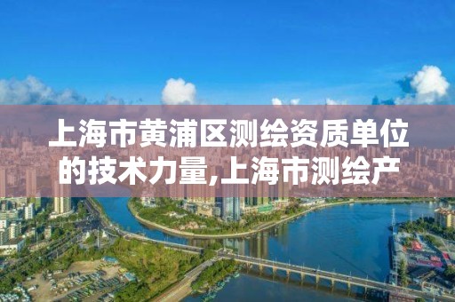 上海市黄浦区测绘资质单位的技术力量,上海市测绘产品质量。