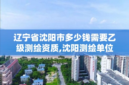 辽宁省沈阳市多少钱需要乙级测绘资质,沈阳测绘单位。