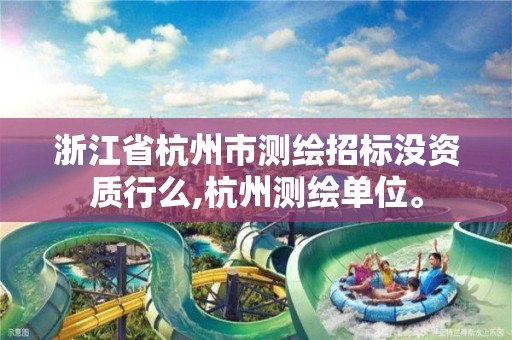 浙江省杭州市测绘招标没资质行么,杭州测绘单位。