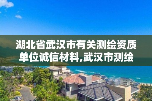 湖北省武汉市有关测绘资质单位诚信材料,武汉市测绘工程技术规定。