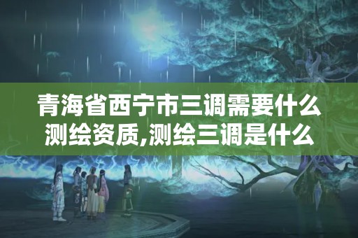 青海省西宁市三调需要什么测绘资质,测绘三调是什么。