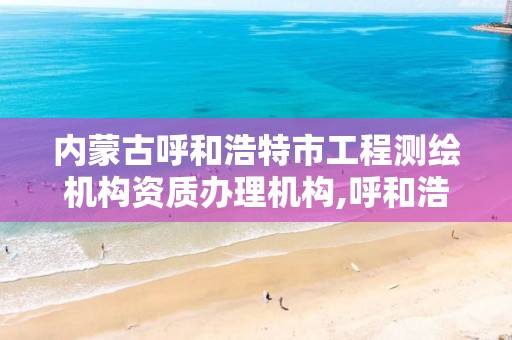 内蒙古呼和浩特市工程测绘机构资质办理机构,呼和浩特市测量仪器。