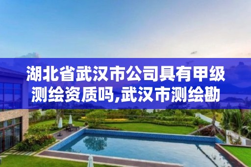 湖北省武汉市公司具有甲级测绘资质吗,武汉市测绘勘察设计甲级资质公司。