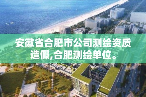 安徽省合肥市公司测绘资质造假,合肥测绘单位。