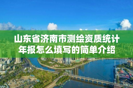 山东省济南市测绘资质统计年报怎么填写的简单介绍