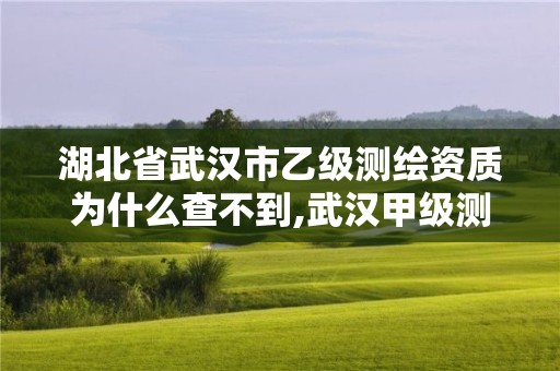 湖北省武汉市乙级测绘资质为什么查不到,武汉甲级测绘资质名录。