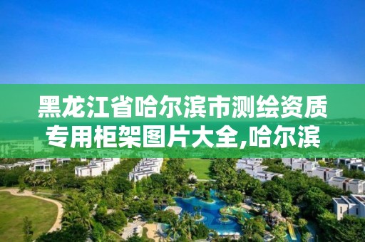 黑龙江省哈尔滨市测绘资质专用柜架图片大全,哈尔滨测绘公司有哪些。