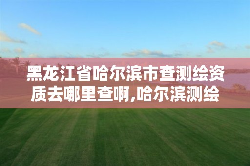 黑龙江省哈尔滨市查测绘资质去哪里查啊,哈尔滨测绘招聘信息。