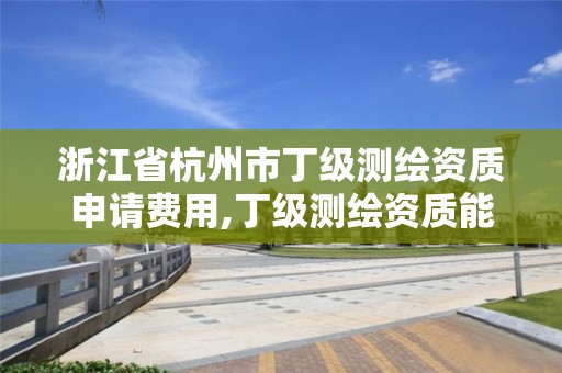 浙江省杭州市丁级测绘资质申请费用,丁级测绘资质能承担的业务。