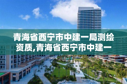 青海省西宁市中建一局测绘资质,青海省西宁市中建一局测绘资质公示。