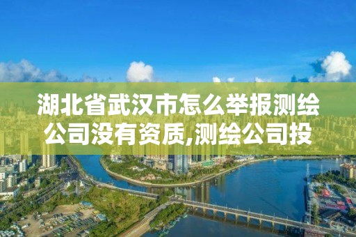 湖北省武汉市怎么举报测绘公司没有资质,测绘公司投诉管理制度。