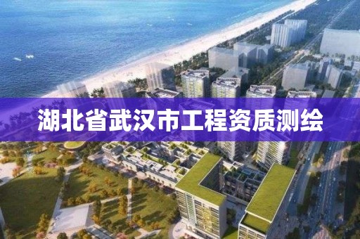 湖北省武汉市工程资质测绘