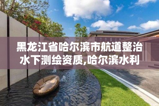 黑龙江省哈尔滨市航道整治水下测绘资质,哈尔滨水利规划设计院。