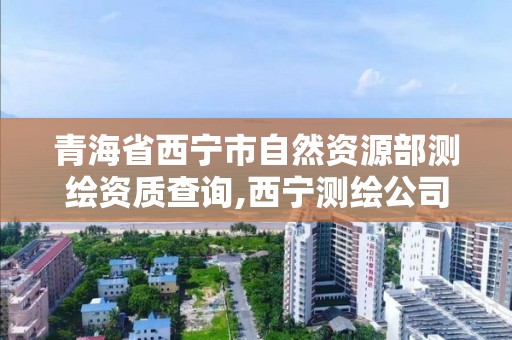 青海省西宁市自然资源部测绘资质查询,西宁测绘公司联系方式。