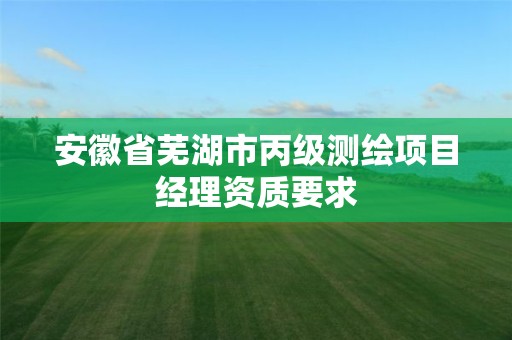 安徽省芜湖市丙级测绘项目经理资质要求