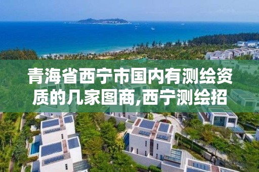 青海省西宁市国内有测绘资质的几家图商,西宁测绘招聘。