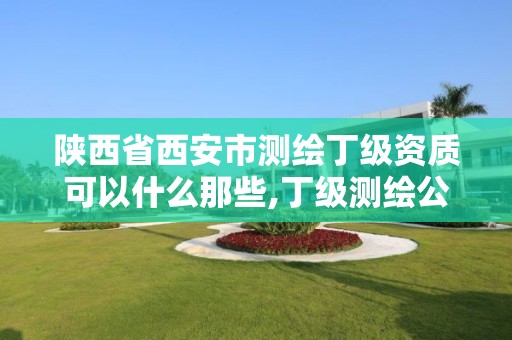 陕西省西安市测绘丁级资质可以什么那些,丁级测绘公司。