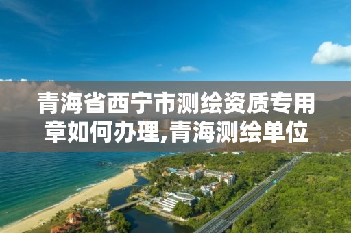 青海省西宁市测绘资质专用章如何办理,青海测绘单位。