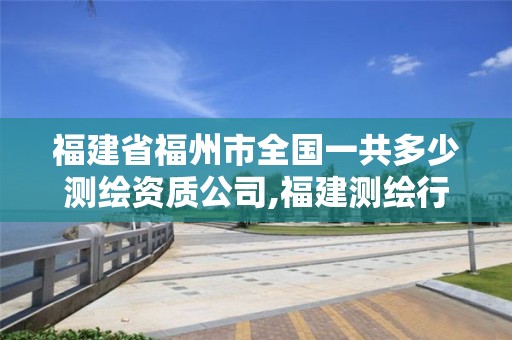 福建省福州市全国一共多少测绘资质公司,福建测绘行业哪个待遇最好。