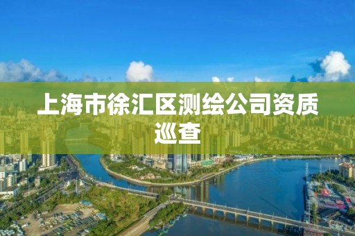 上海市徐汇区测绘公司资质巡查