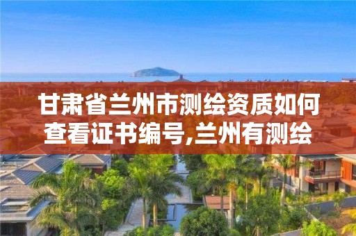 甘肃省兰州市测绘资质如何查看证书编号,兰州有测绘资质的公司有。