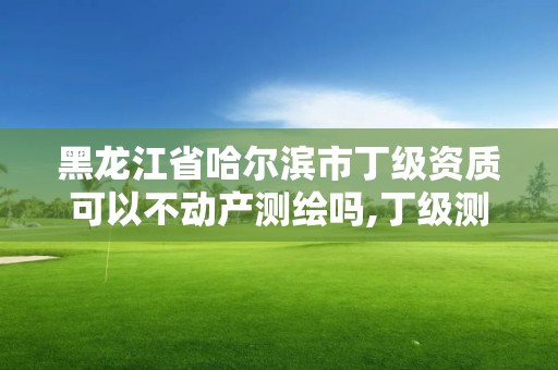 黑龙江省哈尔滨市丁级资质可以不动产测绘吗,丁级测绘资质不动产测绘范围。