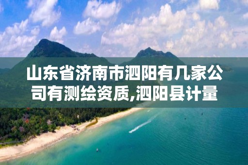 山东省济南市泗阳有几家公司有测绘资质,泗阳县计量测试所电话。