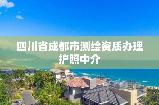 四川省成都市测绘资质办理护照中介