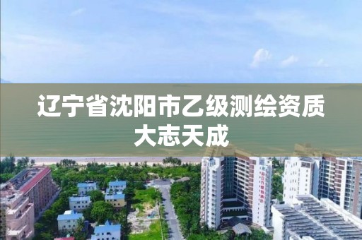 辽宁省沈阳市乙级测绘资质大志天成