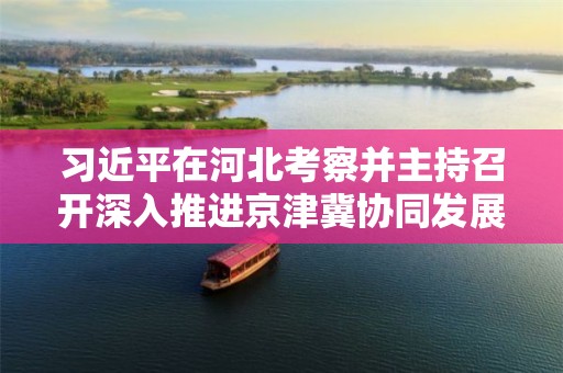 习近平在河北考察并主持召开深入推进京津冀协同发展座谈会